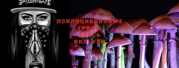 шишки Бугульма