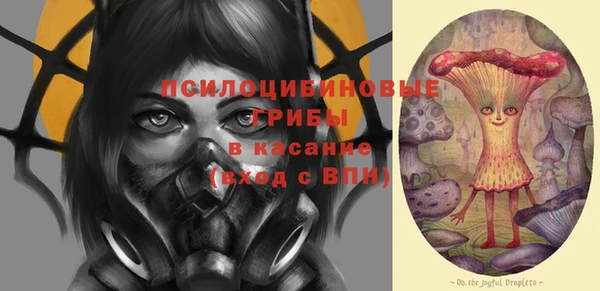 шишки Бугульма