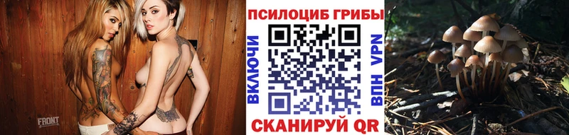 Псилоцибиновые грибы MAGIC MUSHROOMS  Купить закладки  Челябинск 