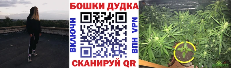 Купить где  Челябинск  Конопля план 